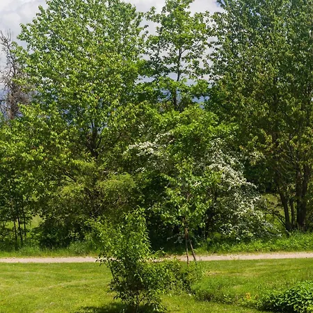 Apartament The Nest Centre *