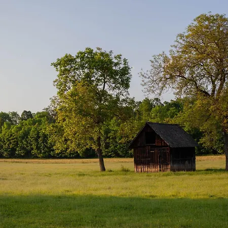 Appartamento The Nest Centre Bled